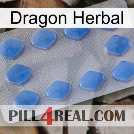 Dragon Herbal 21